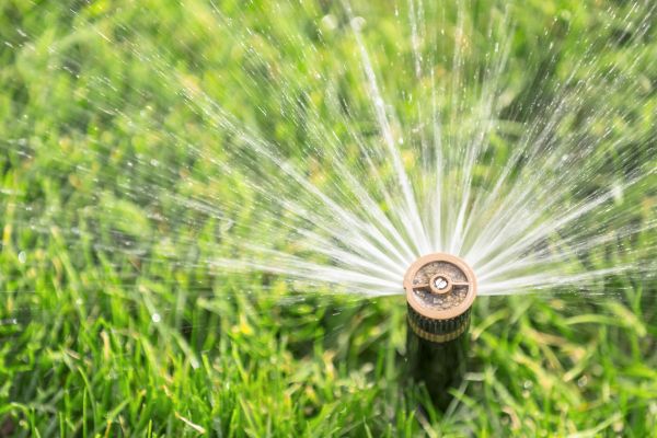 Yard Sprinkler Maintenance