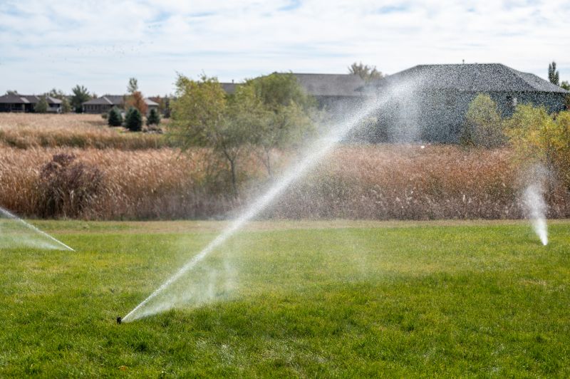 Lawn Sprinkler System Repair detail