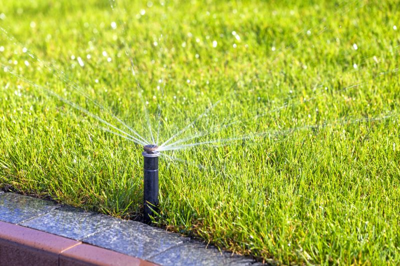 Lawn Sprinkler System Repair detail